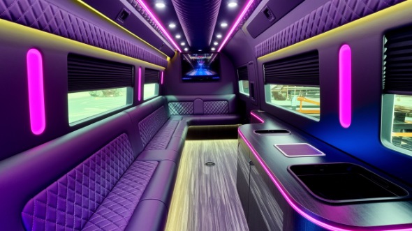 sprinter limo rental interior